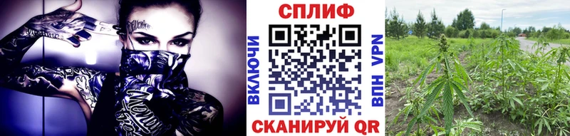 даркнет сайт  Пикалёво  Каннабис Amnesia 